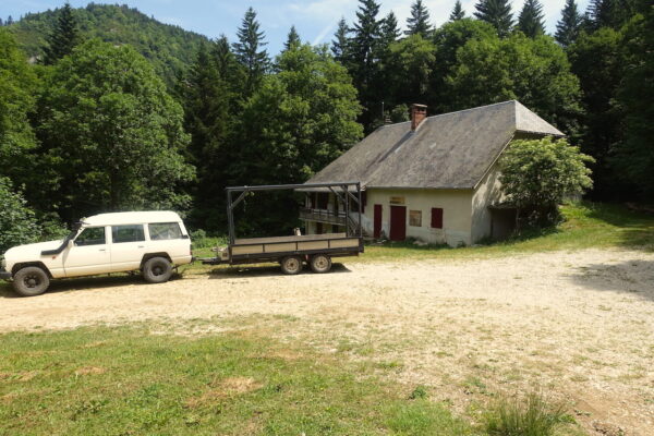 2506-Esparron-equarrissage hache-Charpente traditionnelle1