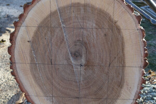 2501-Equarrissage-Quet-4