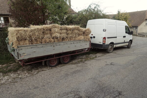 251015-Charbo-Caisse frigo-Paille17