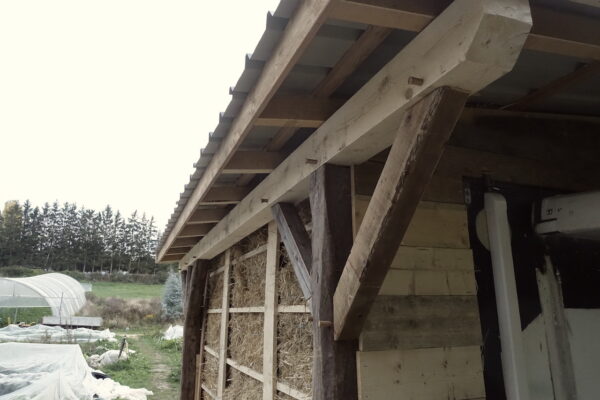 251015-Charbo-Caisse frigo-Paille25