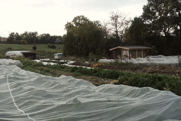 251015-Charbo-Caisse frigo-Paille27